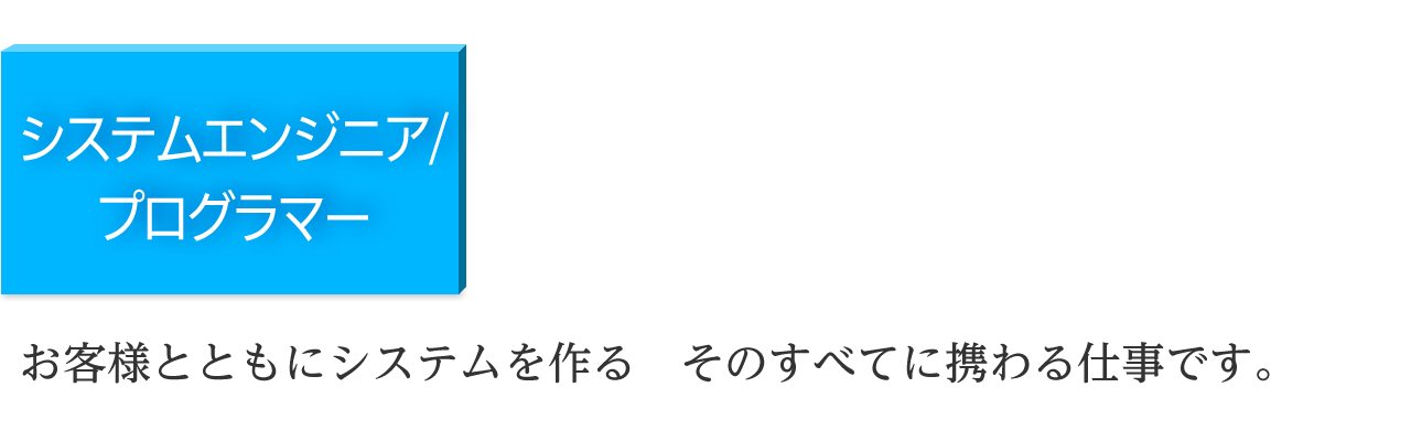 システムエンジニア/プログラマー／お客様とともにシステムを作る　そのすべてに携わる仕事です。